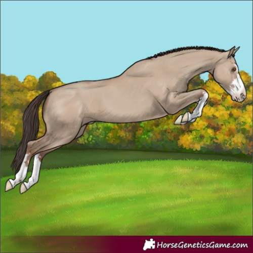 Horse Color:Classic Champagne Dun 