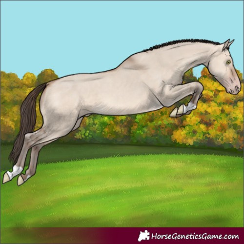 Horse Color:Amber Champagne Dun 
