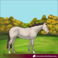 Horse Color:Classic Champagne Dun 