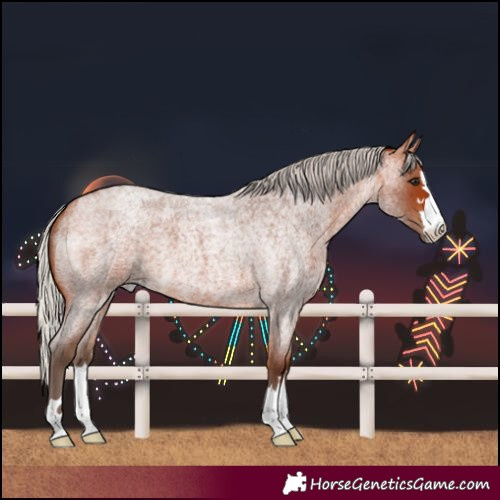 Horse Color:Silver Bay Roan 