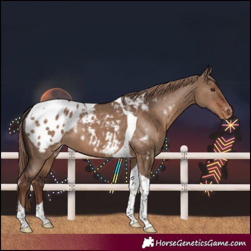 Horse Color:Liver Red Dun Tobiano Blanket 