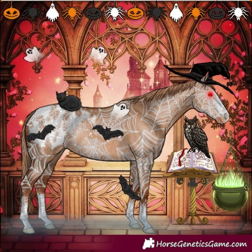 Horse Color:Red Dun Sabino Blanket Rabicano