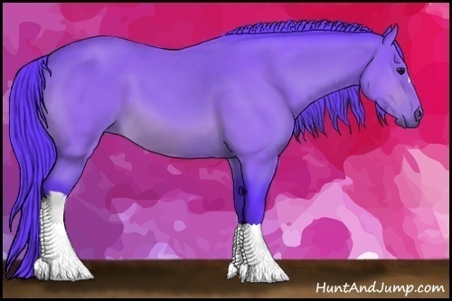 Horse Color:Watercolor Buckskin 