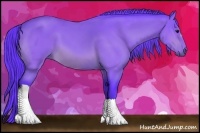 Horse Color:Watercolor Buckskin 