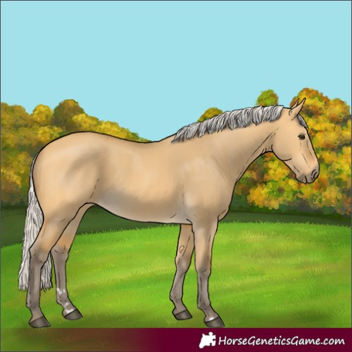 Horse Color:Silver Buckskin Dun 