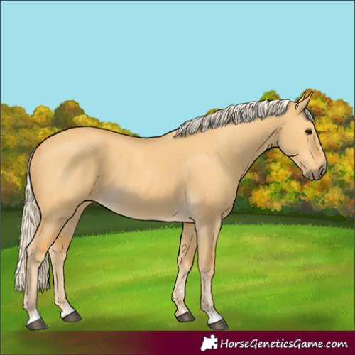 Horse Color:Palomino Dun Rabicano
