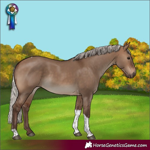 Horse Color:Silver Brown Dun Tobiano 