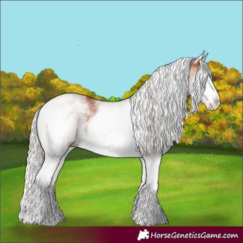 Horse Color:White Spotted Silver Bay Splash 