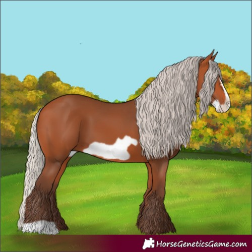 Horse Color:Silver Bay Frame 