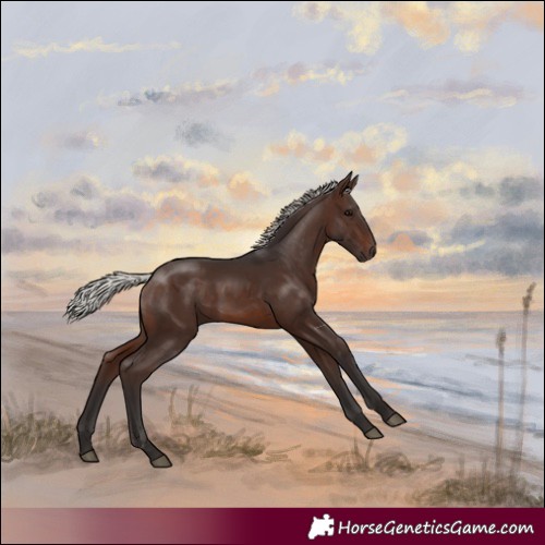 Horse Color:Silver Brown