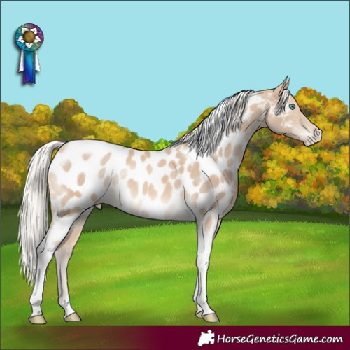 Horse Color:Silver Smoky Creme Tobiano Near Leopard Rabicano 