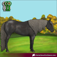 Horse Color:Liver Chestnut Mushroom 