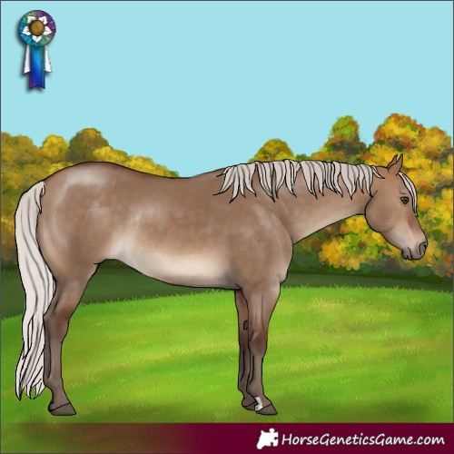 Horse Color:Silver Brown Dun Rabicano