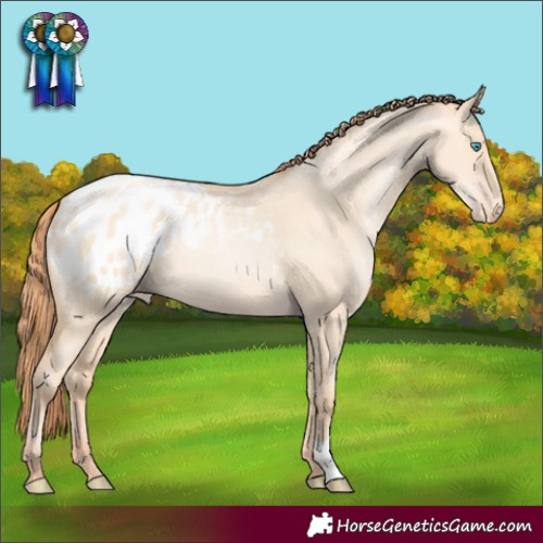 Horse Color:Amber Champagne Pearl Dun Varnish