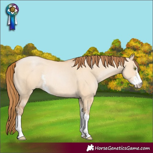 Horse Color:Bay Pearl Dun Sabino Rabicano 
