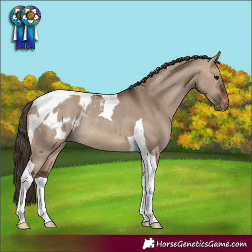 Horse Color:Brown Dun Tobiano Varnish Rabicano 