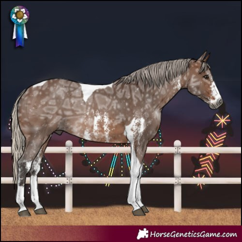 Horse Color:Gray Silver Bay Ice Sabino Tobiano