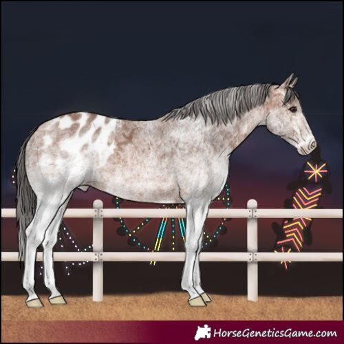 Horse Color:White Spotted Bay Ice Blanket