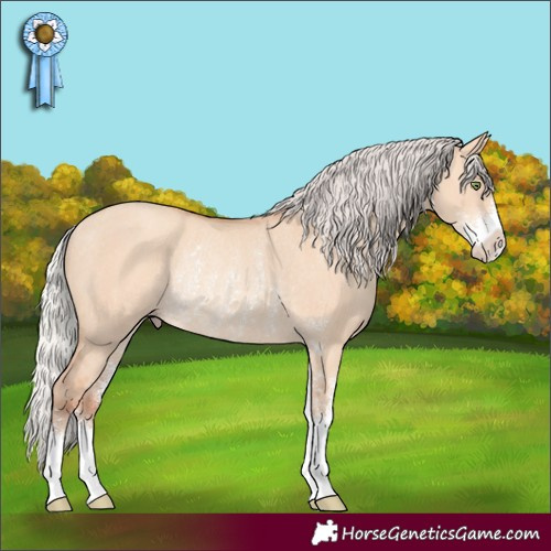 Horse Color:Silver Amber Champagne Dun Sabino Rabicano