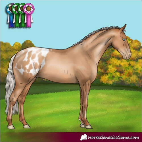 Horse Color:Gray Silver Sable Champagne Pearl Varnish 