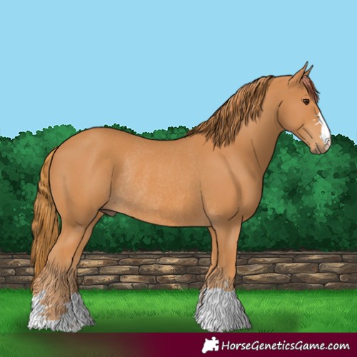 Horse Color:Unknown 