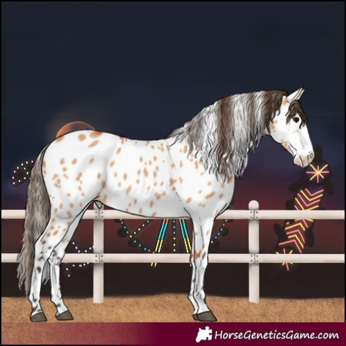 Horse Color:Bay Dun Sabino Near Leopard