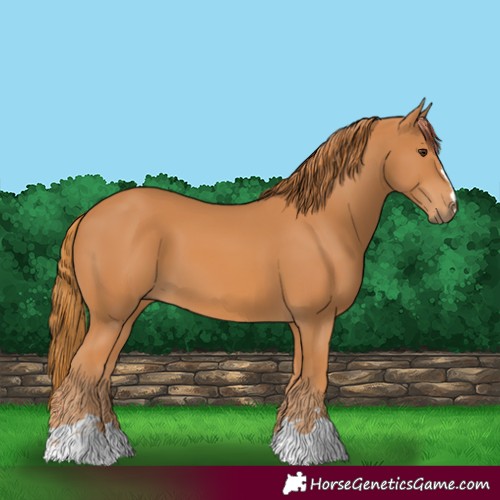 Horse Color:Unknown 