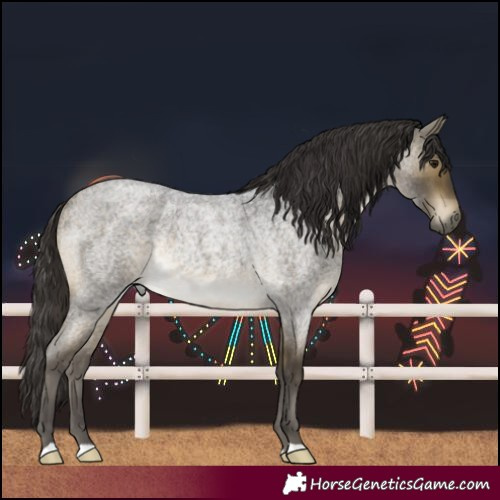 Horse Color:Buckskin Roan Rabicano
