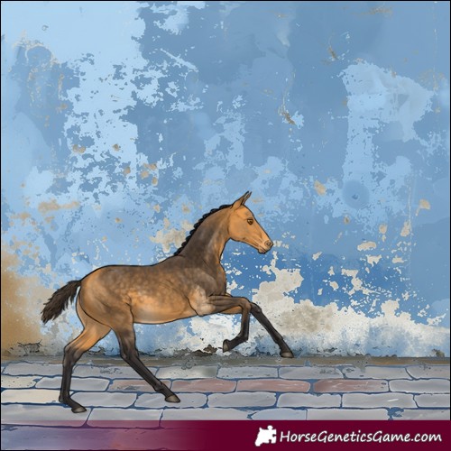 Horse Color:White Spotted Buckskin