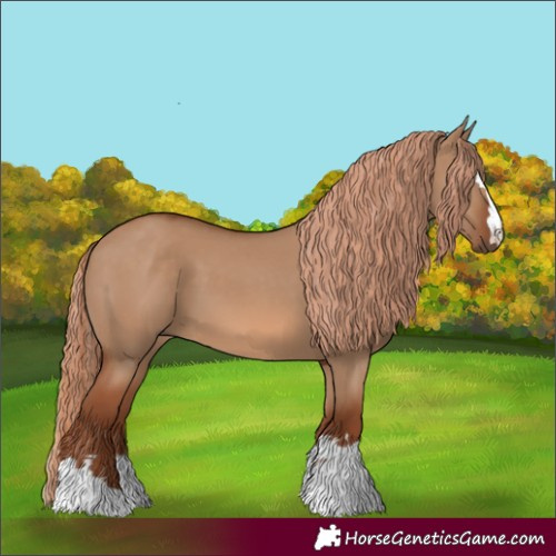 Horse Color:Red Dun 