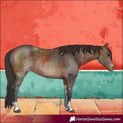 Horse Color:Bay Tobiano Varnish