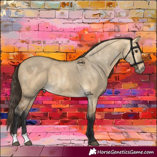 Horse Color:Buckskin Dun