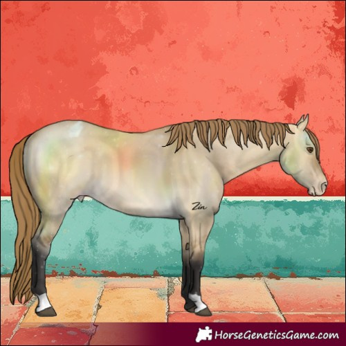 Horse Color:Buckskin Dun Varnish 