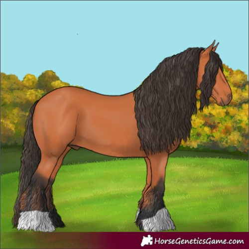 Horse Color:Unknown 