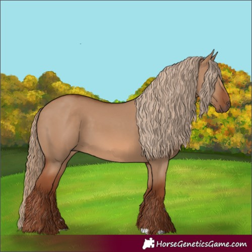 Horse Color:Red Dun 