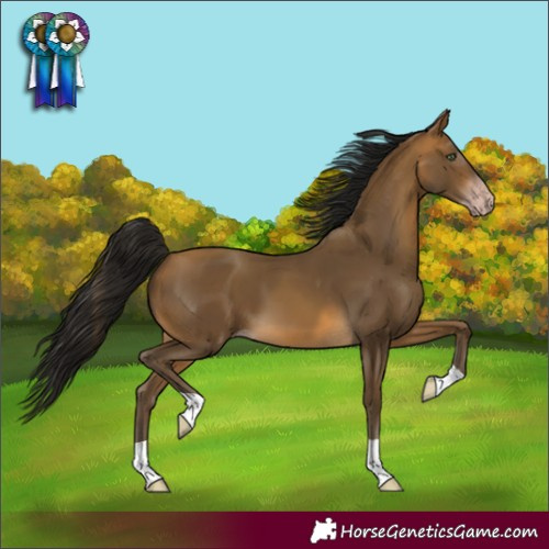 Horse Color:Gray Sable Cream Champagne 