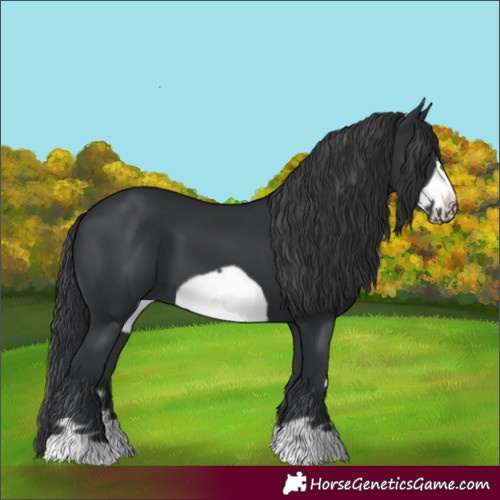 Horse Color:Black Frame