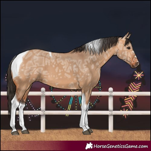 Horse Color:Bay Ice Dun Tobiano