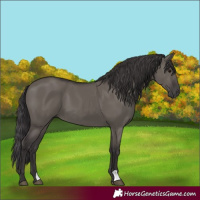 Horse Color:Smoky Grullo 