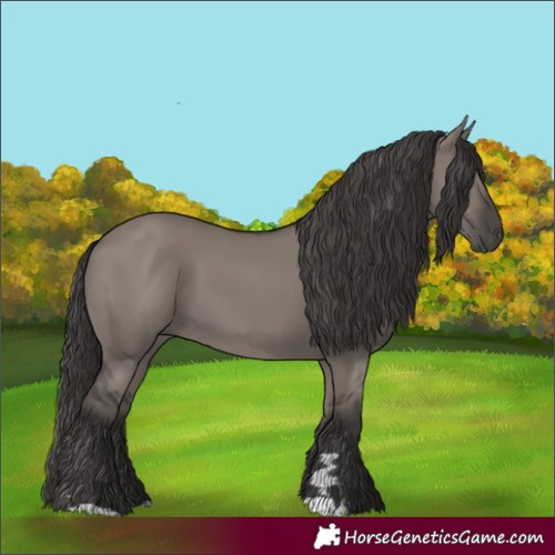 Horse Color:Unknown 