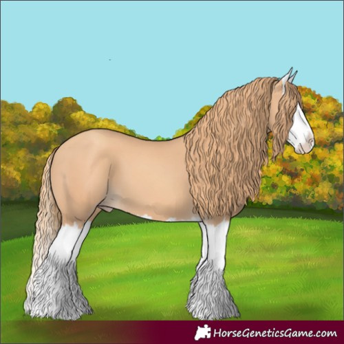 Horse Color:Gold Champagne Splash 