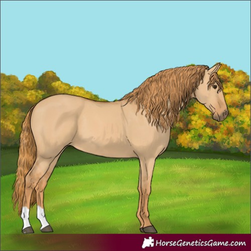 Horse Color:Red Dun