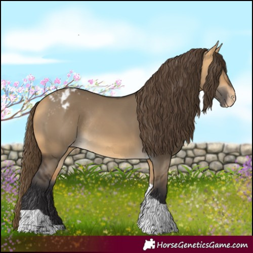 Horse Color:Buckskin Dun Tobiano Varnish Rabicano 