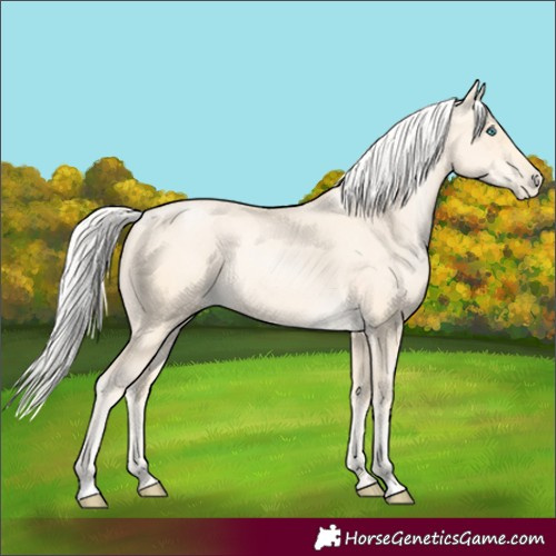 Horse Color:Silver Buckskin Pearl 