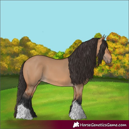 Horse Color:Bay Dun Tobiano 