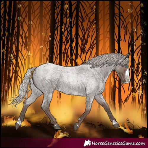 Horse Color:Silver Blue Roan Splash 