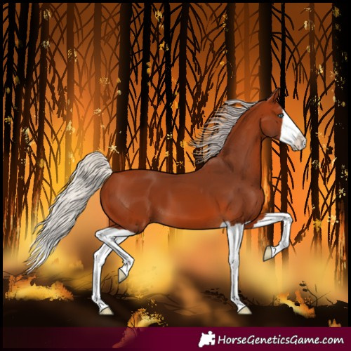 Horse Color:Silver Bay Splash 