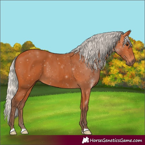 Horse Color:Silver Bay 