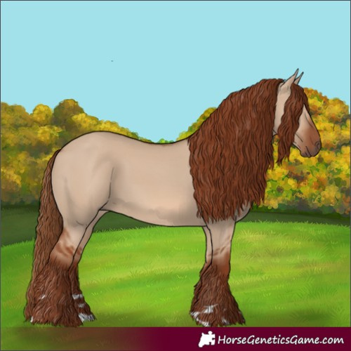 Horse Color:Red Dun 
