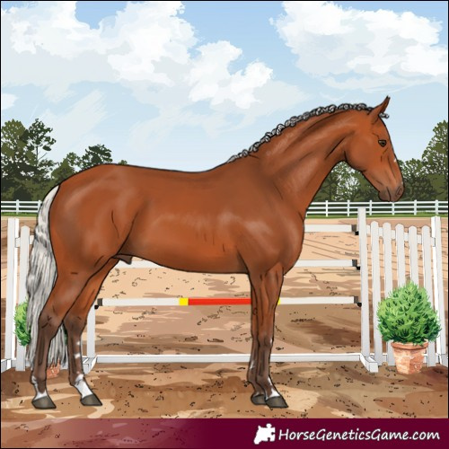 Horse Color:Silver Bay
